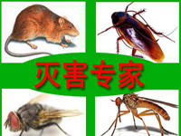 祝賀康凈公司總經(jīng)理當選《中國專業(yè)有害生物管理》雜志編委